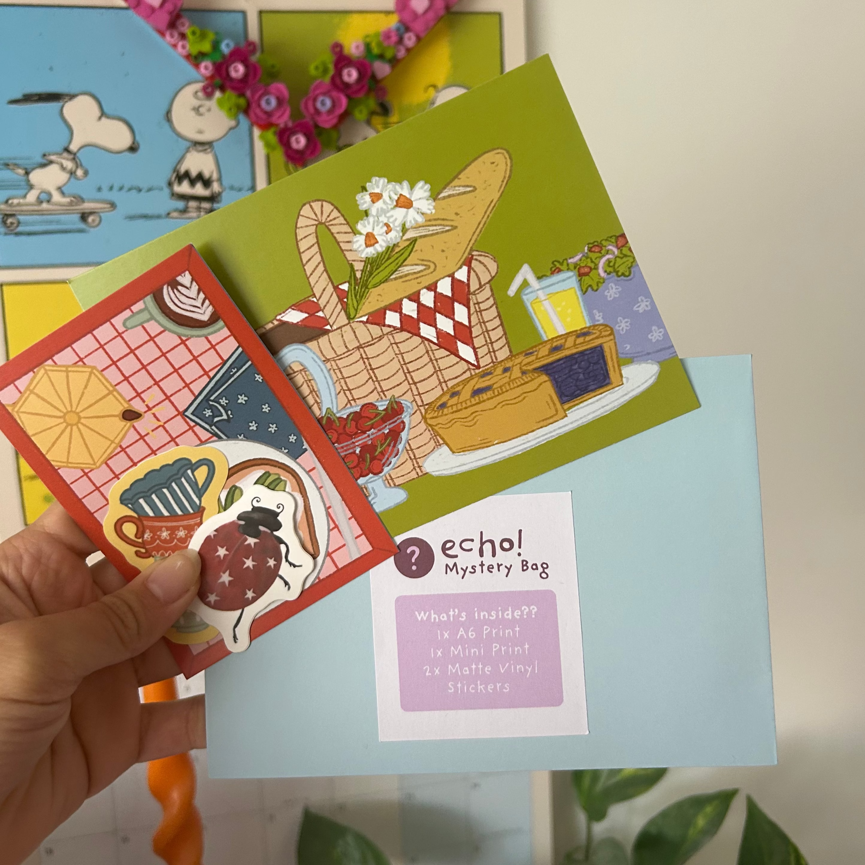 Echo Mystery Bag